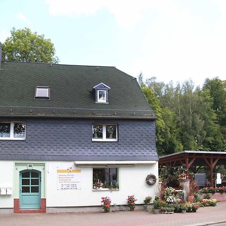 Fewo -Schiefe- Marie Apartment Oberlungwitz Exterior foto